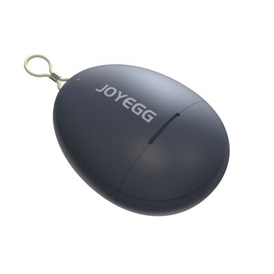 joyegg002-1.jpg